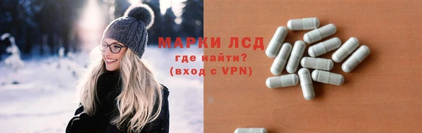 ГАЛЛЮЦИНОГЕННЫЕ ГРИБЫ Гусиноозёрск