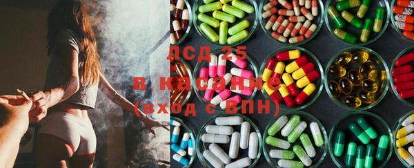 ГАЛЛЮЦИНОГЕННЫЕ ГРИБЫ Гусиноозёрск