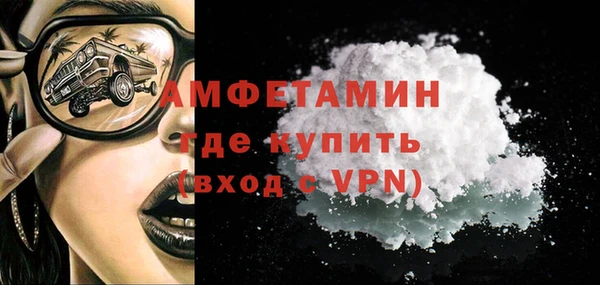 индика Волоколамск